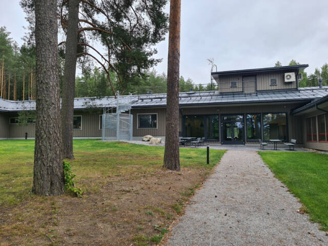 Moderni rakennuskokonaisuus metsän keskellä, sorapolku johdattaa sisäänkäynnille vehreän pihan halki.
