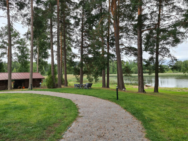 Kaareva kävelypolku mäntyjen lomassa, levähdyspenkki ja järvi luovat rauhallisen ulkoilmaympäristön.