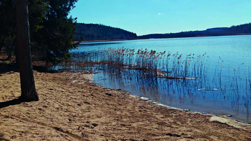 hiekkaranta ja järvessä kaisloja