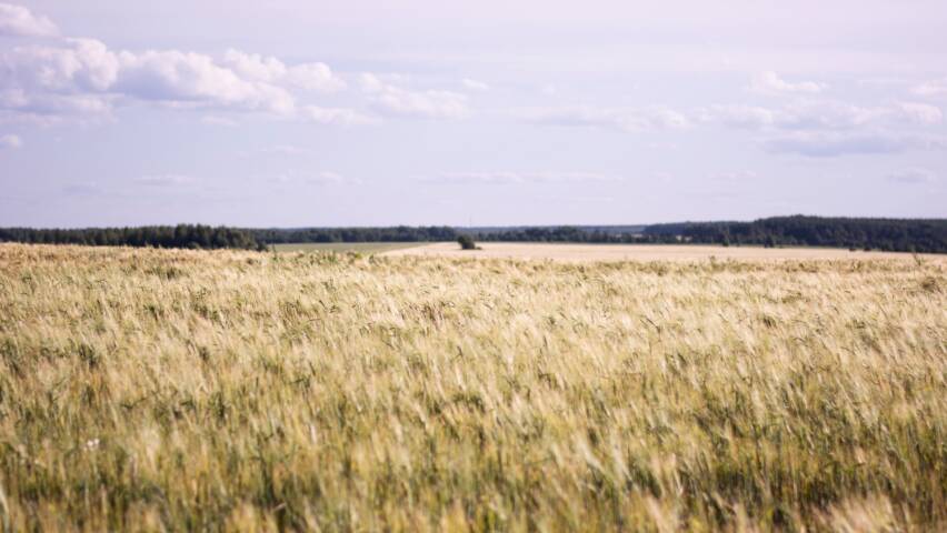 kuvituskuva