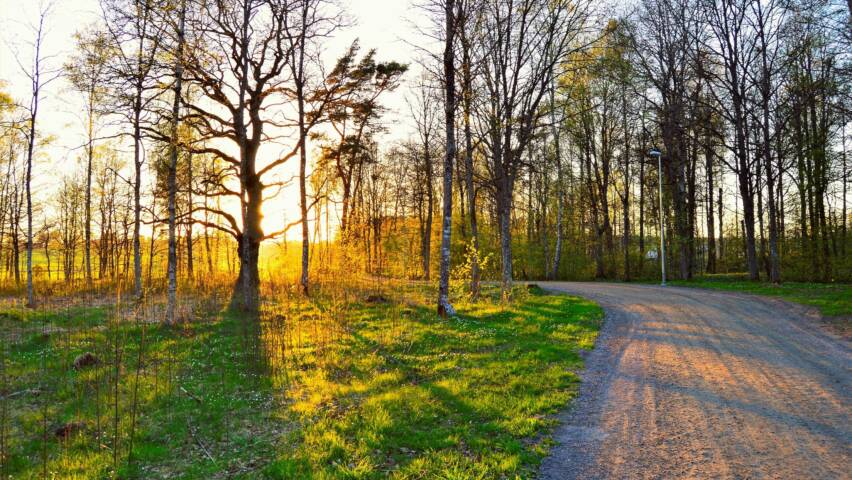 Aurinko laskee hiekkatien ja puiden taakse.